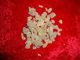 Kumar Sharma  Global & Herbal Enterprises
