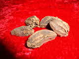 Kumar Sharma  Global & Herbal Enterprises