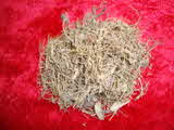 Kumar Sharma  Global & Herbal Enterprises