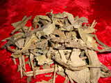 Kumar Sharma  Global & Herbal Enterprises