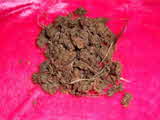 Kumar Sharma  Global & Herbal Enterprises
