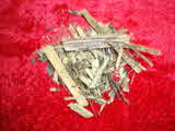 Kumar Sharma  Global & Herbal Enterprises