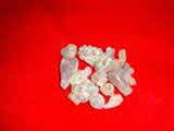 Kumar Sharma  Global & Herbal Enterprises