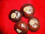 Kumar Sharma  Global & Herbal Enterprises