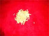 Kumar Sharma  Global & Herbal Enterprises