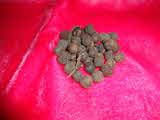 Kumar Sharma  Global & Herbal Enterprises