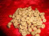 Kumar Sharma  Global & Herbal Enterprises