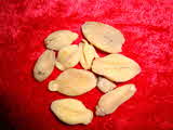 Kumar Sharma  Global & Herbal Enterprises