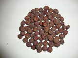 Kumar Sharma  Global & Herbal Enterprises