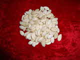 Kumar Sharma  Global & Herbal Enterprises