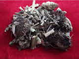 Kumar Sharma  Global & Herbal Enterprises