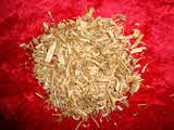 Kumar Sharma  Global & Herbal Enterprises